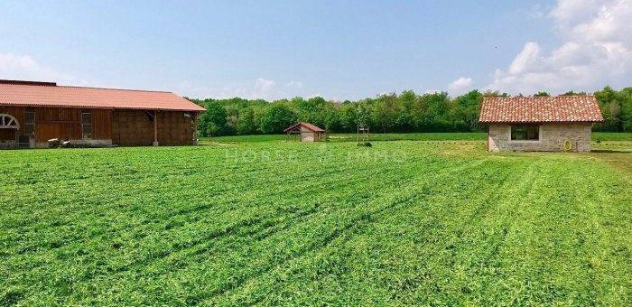 Propiedad ecuestre En venta Ain