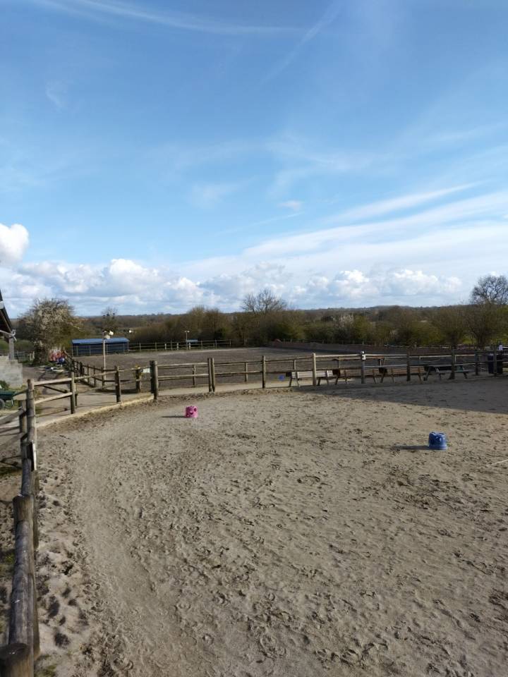 Propiedad ecuestre En venta Mancha