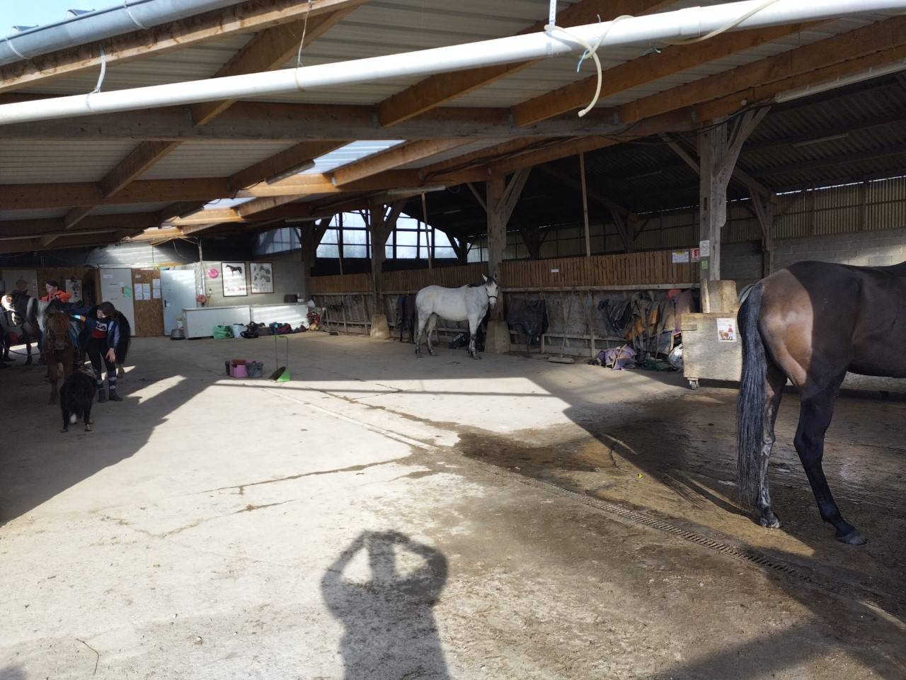 Propiedad ecuestre En venta Mancha