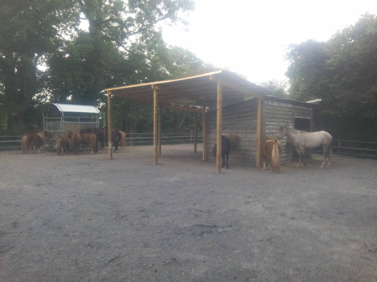 Propiedad ecuestre En venta Mancha