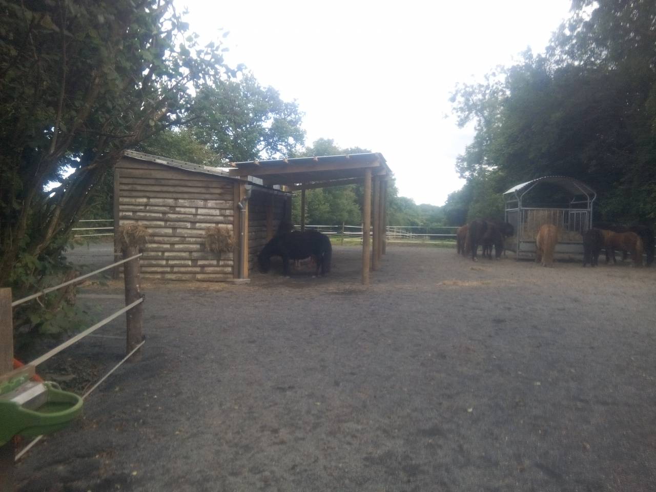 Propiedad ecuestre En venta Mancha