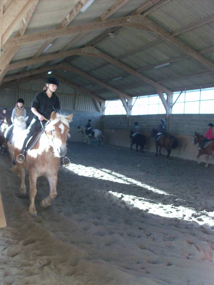 Propiedad ecuestre En venta Mancha