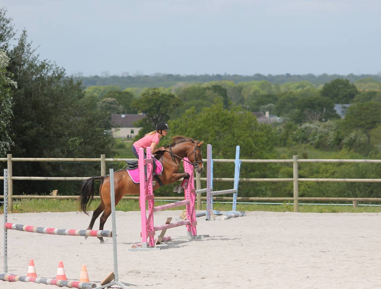 Propiedad ecuestre En venta Mancha