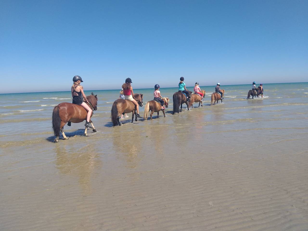 Propiedad ecuestre En venta Mancha