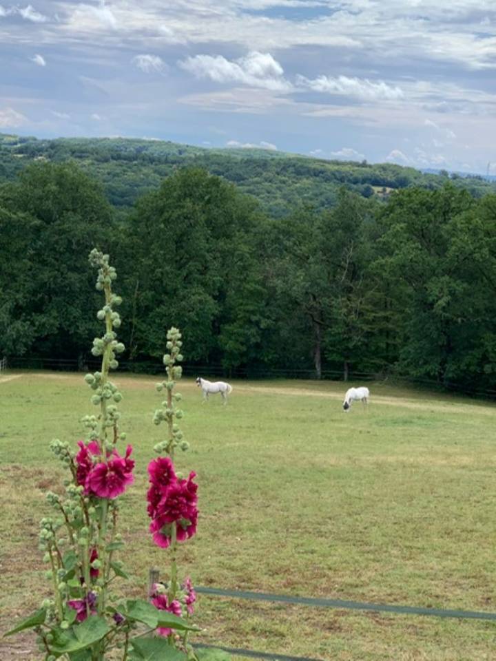 Bonita residencia ecuestre En venta Lot