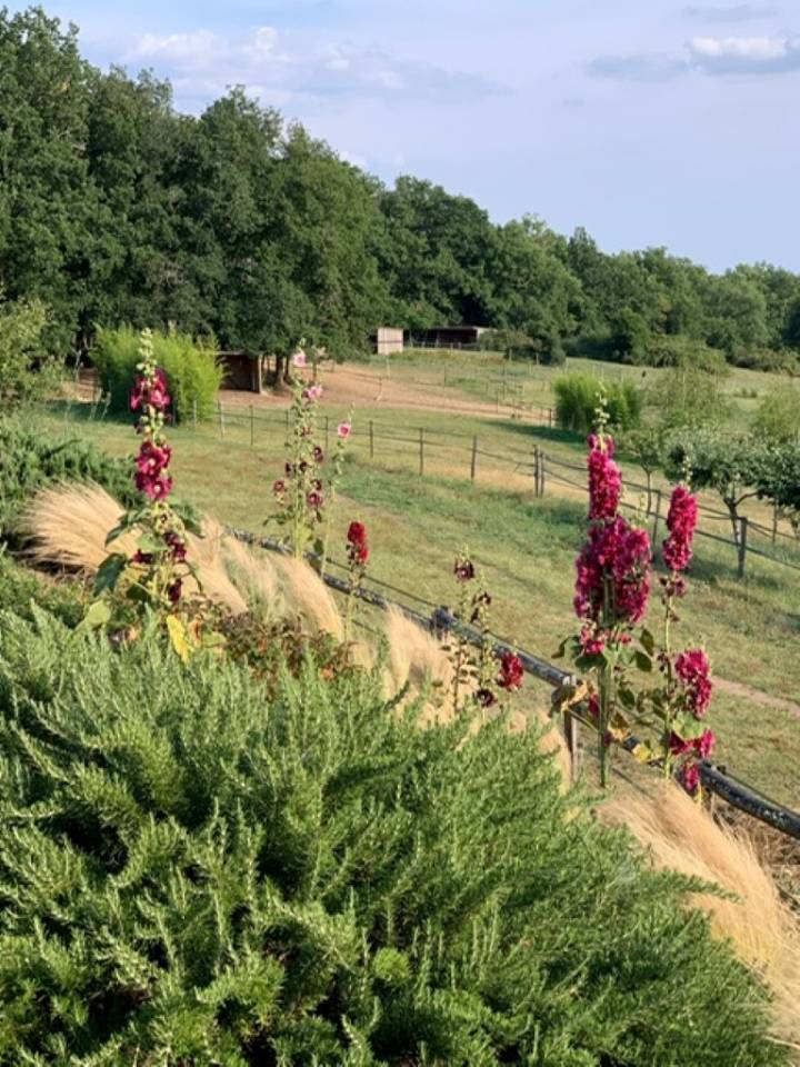 Bonita residencia ecuestre En venta Lot