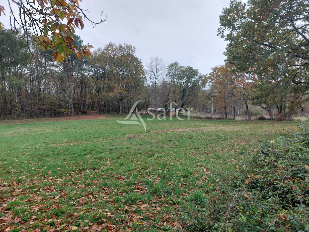 Explotación hortensa En venta Dordoña