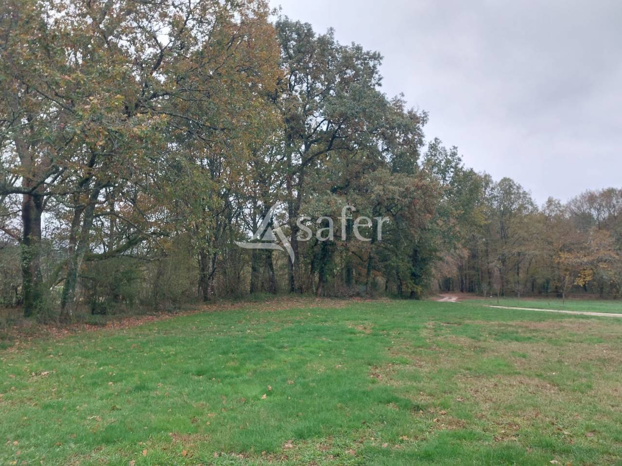 Explotación hortensa En venta Dordoña