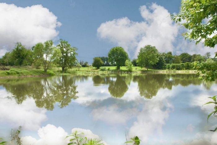 Propiedad ecuestre En venta Ain