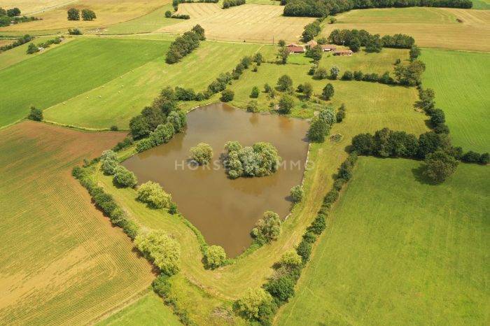 Propiedad ecuestre En venta Ain