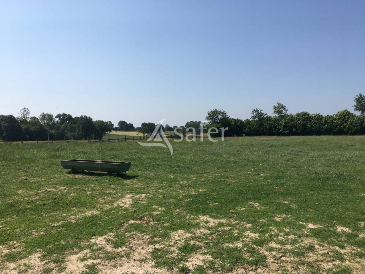 Propiedad ecuestre En venta Mancha