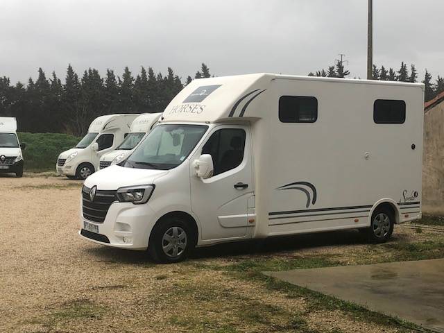 Furgoneta para caballos Trans Box Svelto 3 2020 De segunda mano