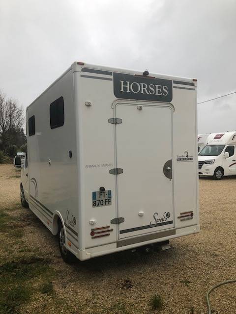 Furgoneta para caballos Trans Box Svelto 3 2020 De segunda mano