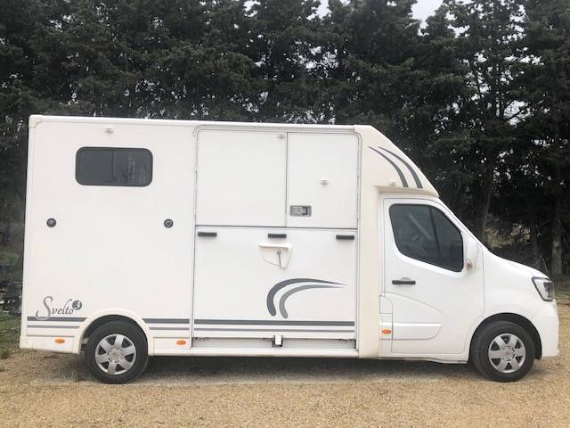 Furgoneta para caballos Trans Box Svelto 3 2020 De segunda mano