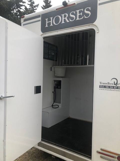 Furgoneta para caballos Trans Box Svelto 3 2020 De segunda mano