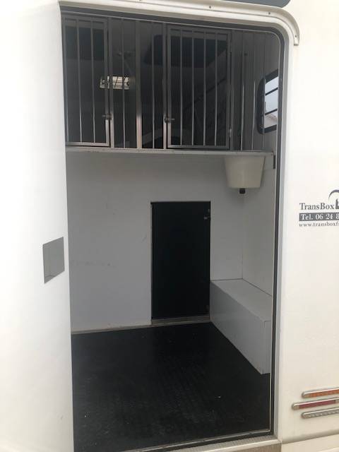 Furgoneta para caballos Trans Box Svelto 3 2020 De segunda mano
