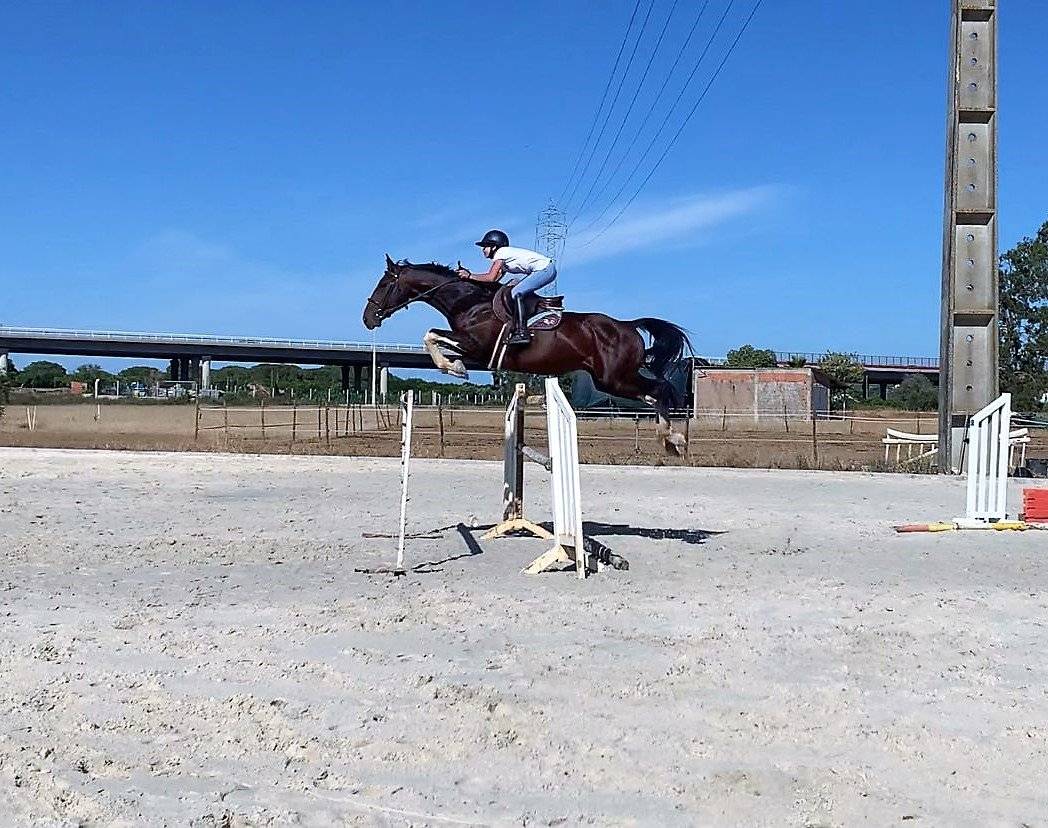 Espectacular pio de salto con origen materna 5estrellas