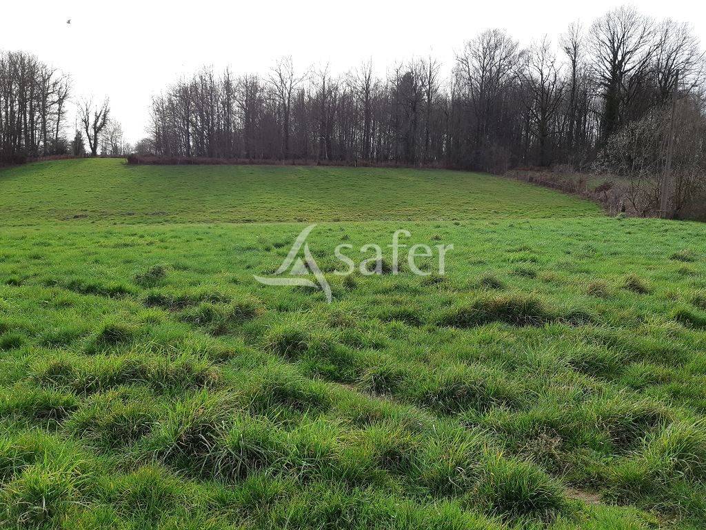 Explotación agrícola En venta Corrèze