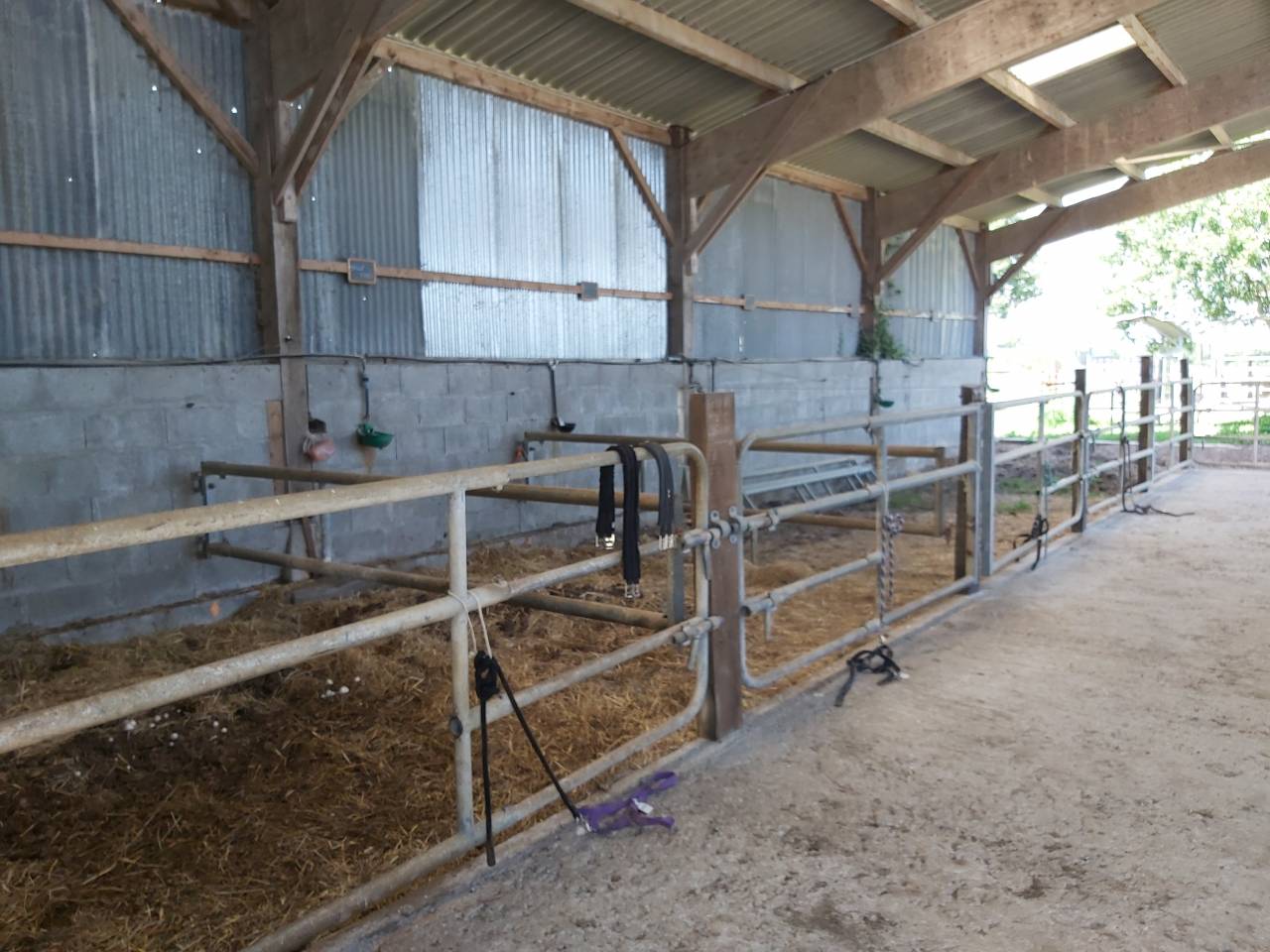 Cuadra de propietarios En venta Loira Atlántico