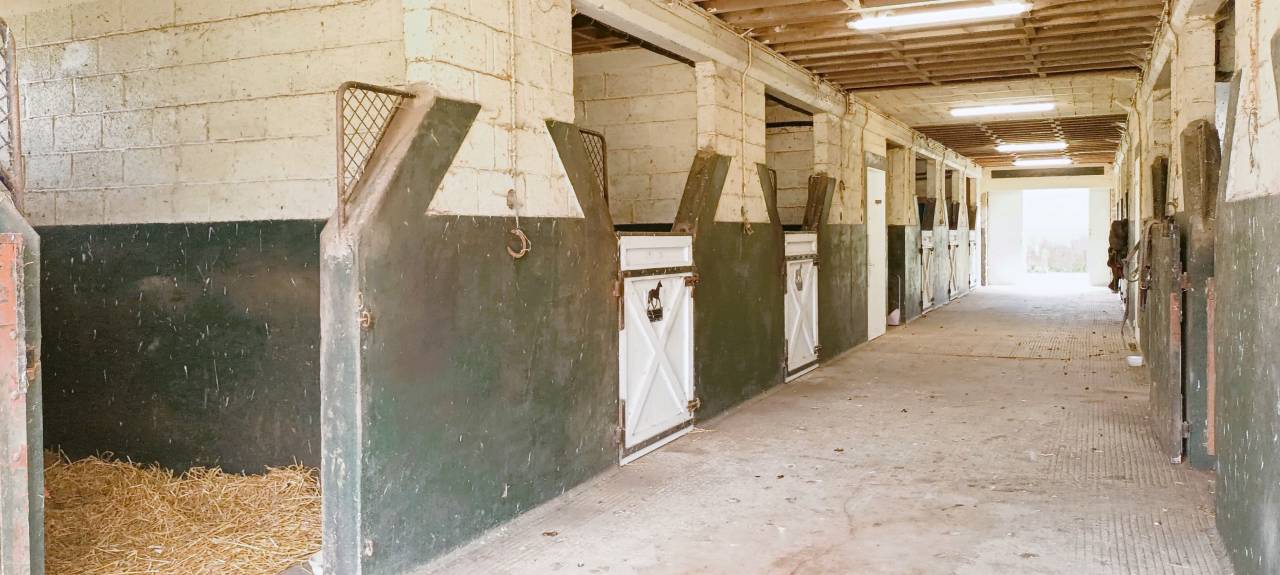 Bonita residencia ecuestre En venta Orne