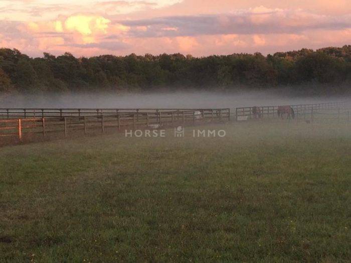 Acaballadero En venta Sena y Marne