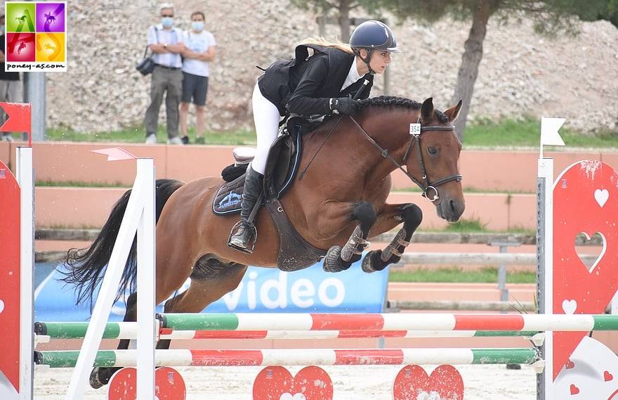 Caballo entero New Forest Préstamo 2014 Bayo