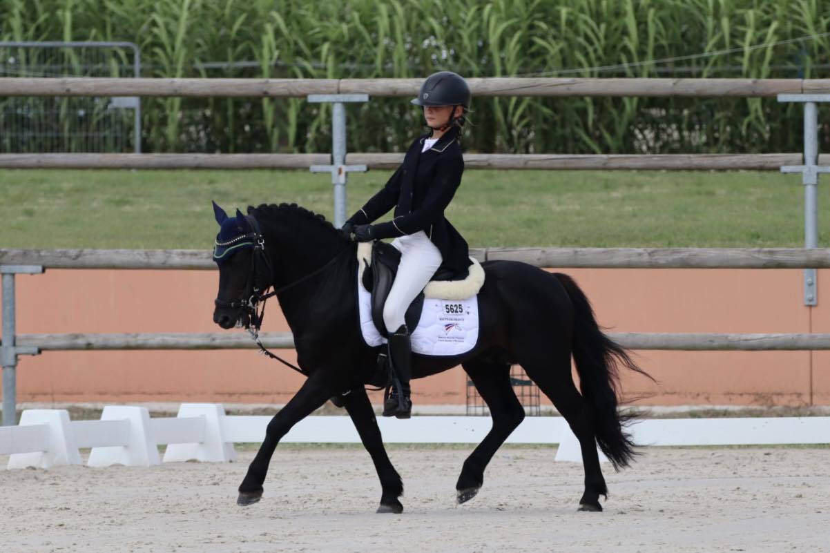 Green Bell Pepper d'Ash - Dartmoor 2016 por moortown storm