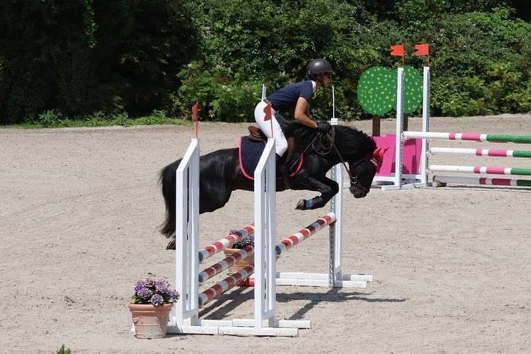 Green Bell Pepper d'Ash - Dartmoor 2016 por moortown storm