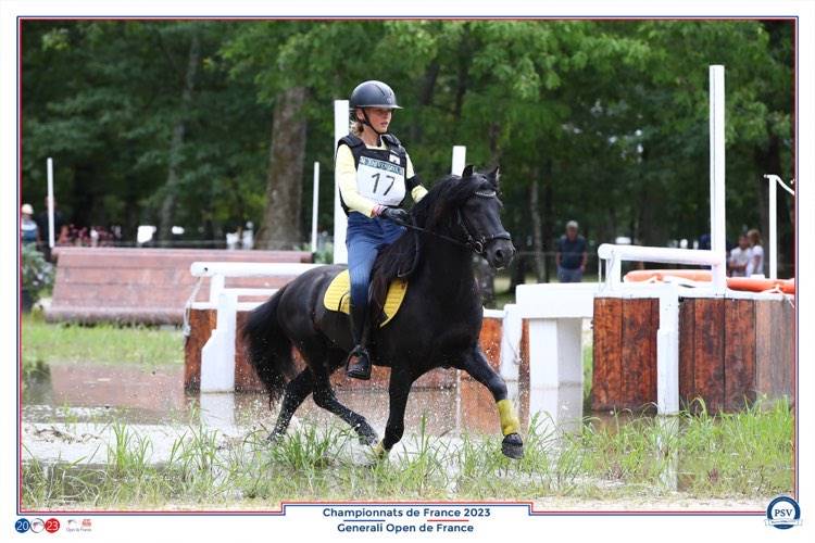 Green Bell Pepper d'Ash - Dartmoor 2016 por moortown storm