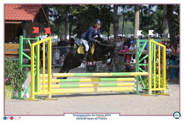 Green Bell Pepper d'Ash - Dartmoor 2016 por moortown storm