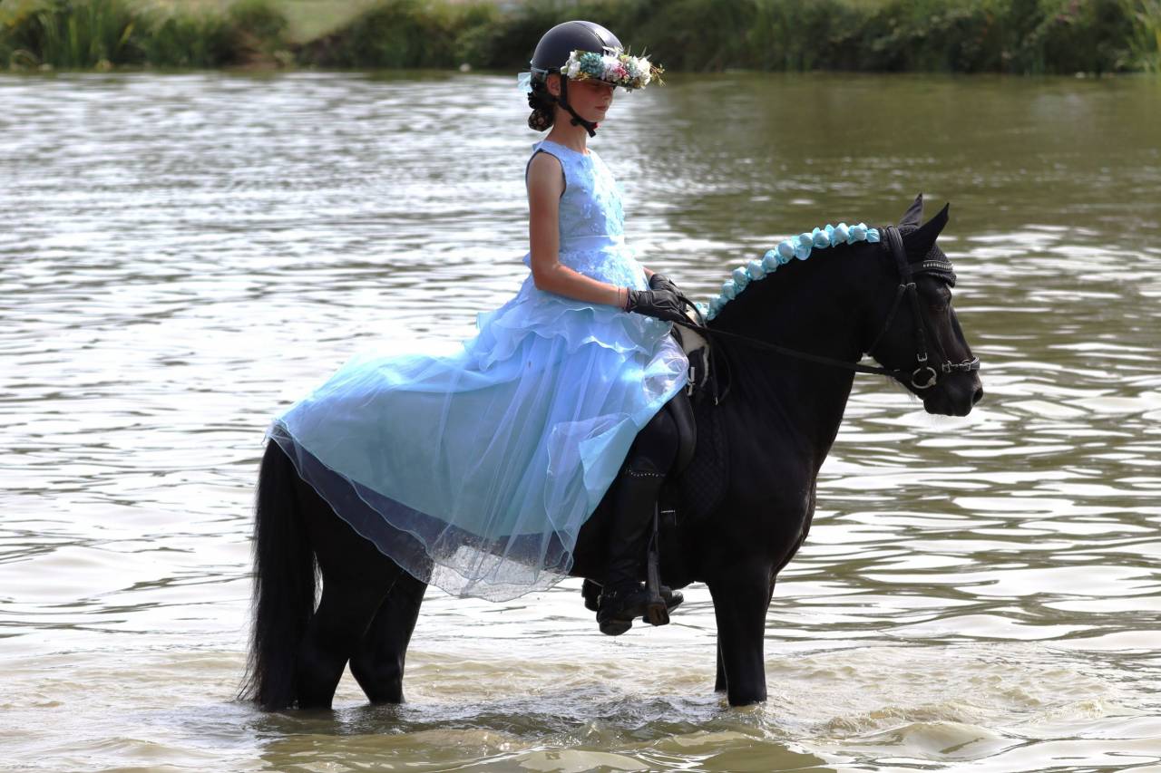 Green Bell Pepper d'Ash - Dartmoor 2016 por moortown storm