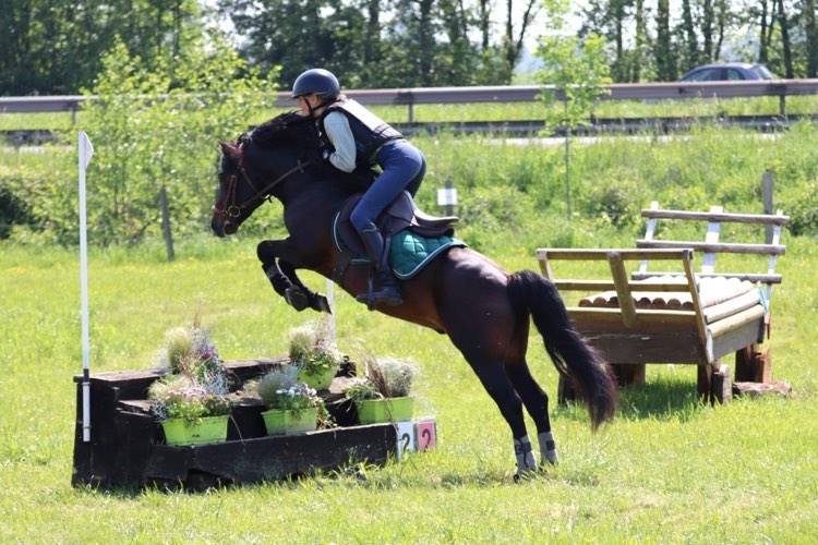 Trewassick Warleggan - Dartmoor 2017 por SHILSTONE ROCKS WARLORD