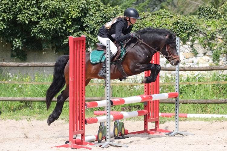 Trewassick Warleggan - Dartmoor 2017 por SHILSTONE ROCKS WARLORD