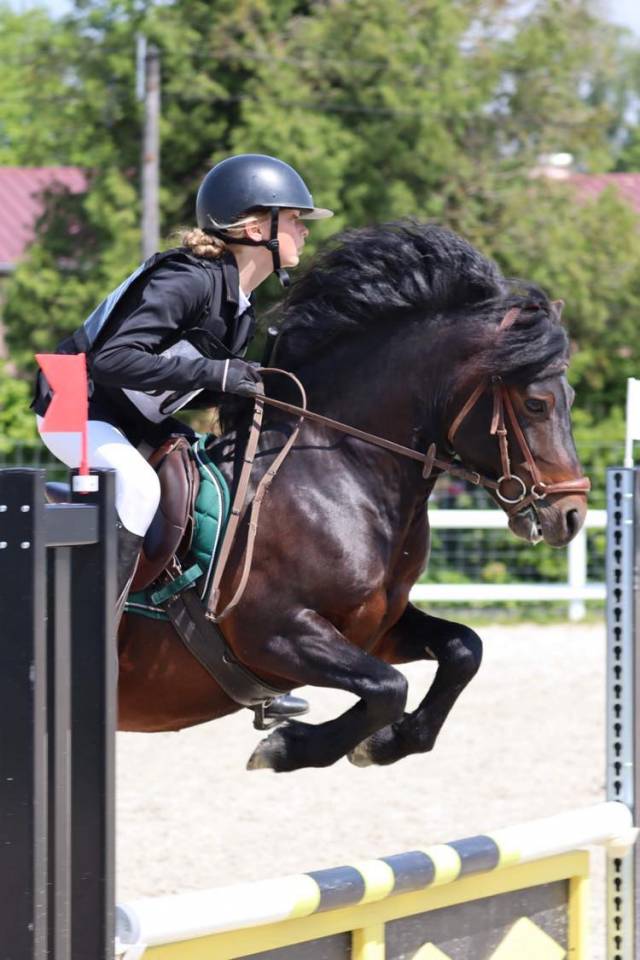 Trewassick Warleggan - Dartmoor 2017 por SHILSTONE ROCKS WARLORD