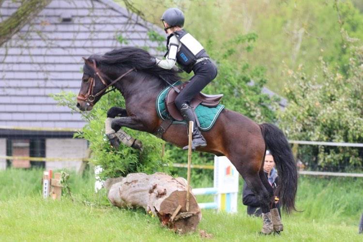 Trewassick Warleggan - Dartmoor 2017 por SHILSTONE ROCKS WARLORD