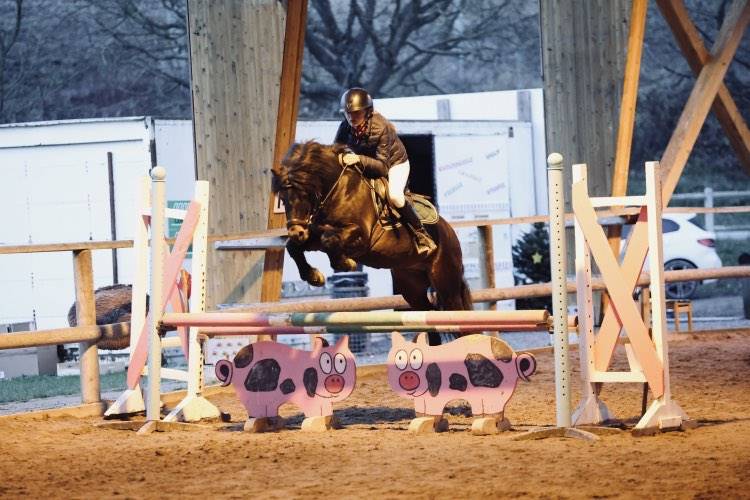 Trewassick Warleggan - Dartmoor 2017 por SHILSTONE ROCKS WARLORD