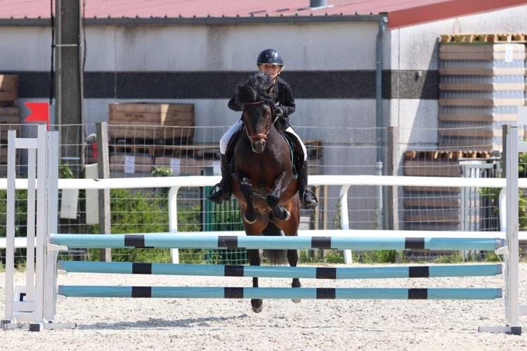 Trewassick Warleggan - Dartmoor 2017 por SHILSTONE ROCKS WARLORD