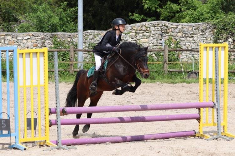 Trewassick Warleggan - Dartmoor 2017 por SHILSTONE ROCKS WARLORD