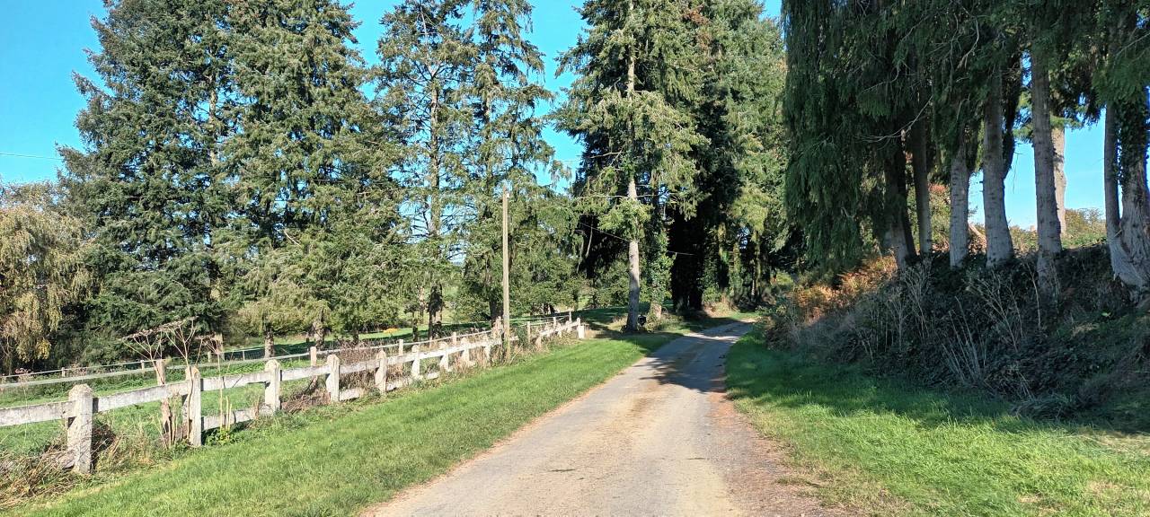 Propiedad ecuestre En venta Orne