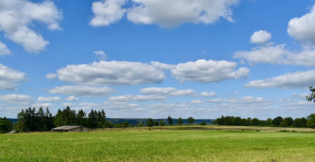 Propiedad ecuestre En venta Orne