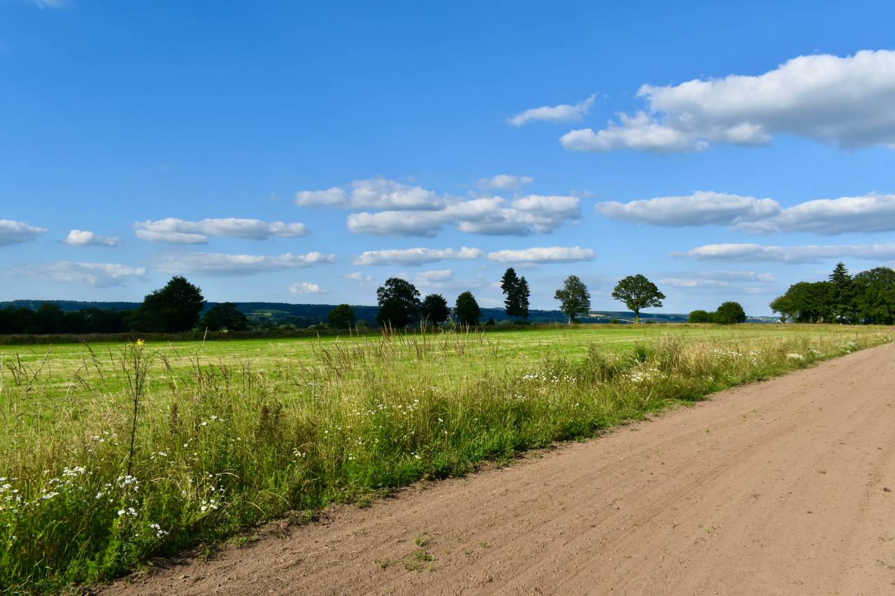 Propiedad ecuestre En venta Orne