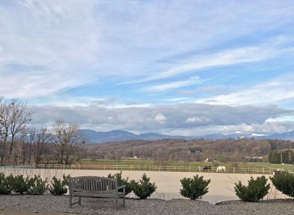 Cuadra de propietarios En venta Alto Rin