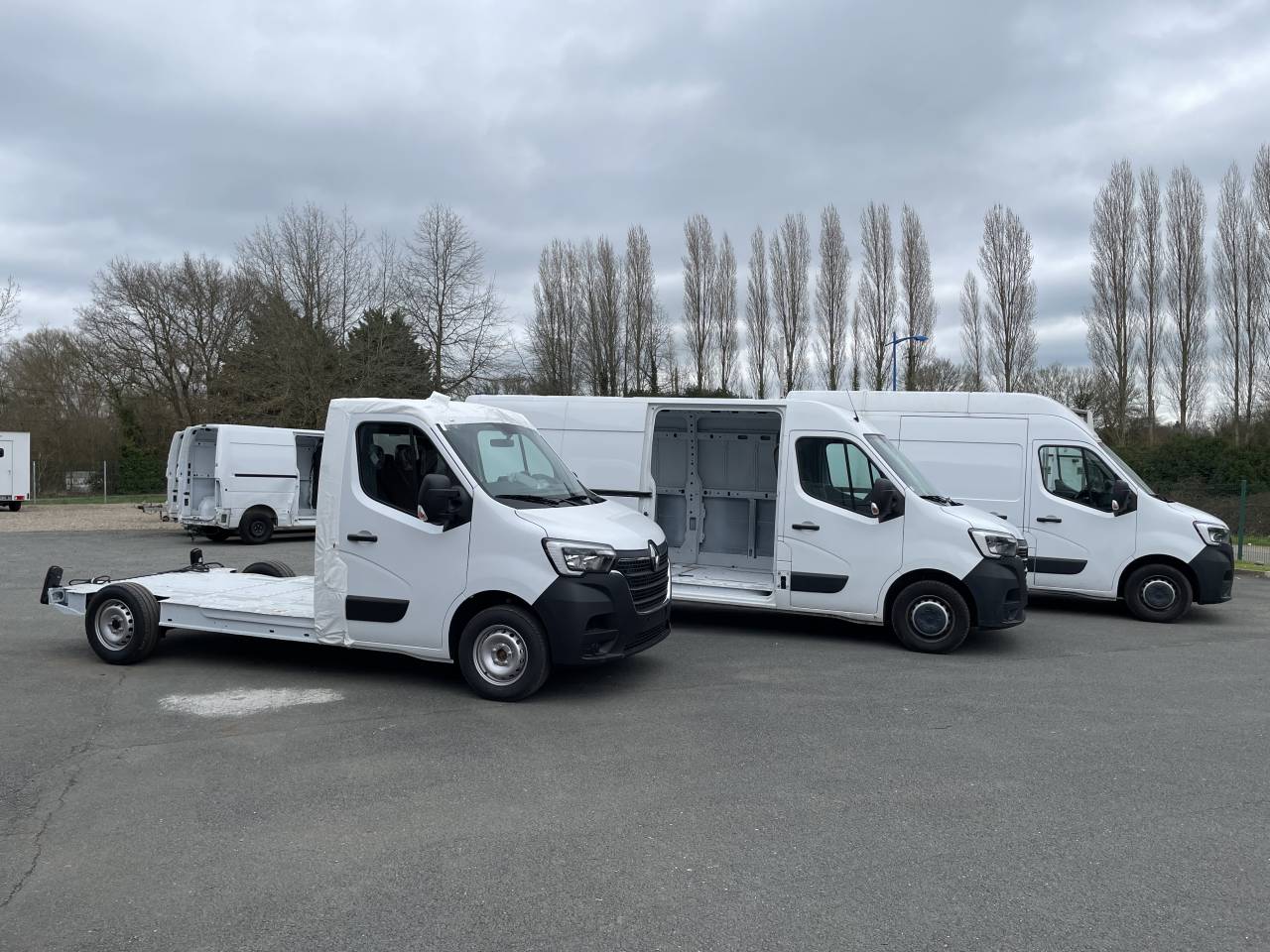 Furgoneta para caballos AP Petit  2023 Nuevo