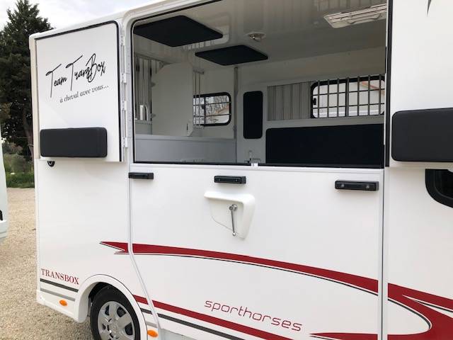 Furgoneta para caballos Trans Box New Svelto4 R  2024 Nuevo