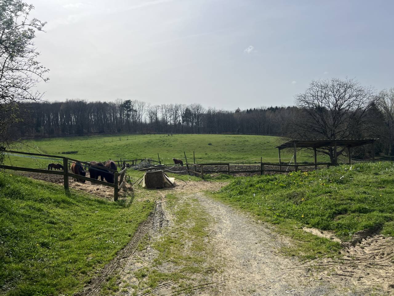 Cuadra de propietarios En venta Corr&egrave;ze