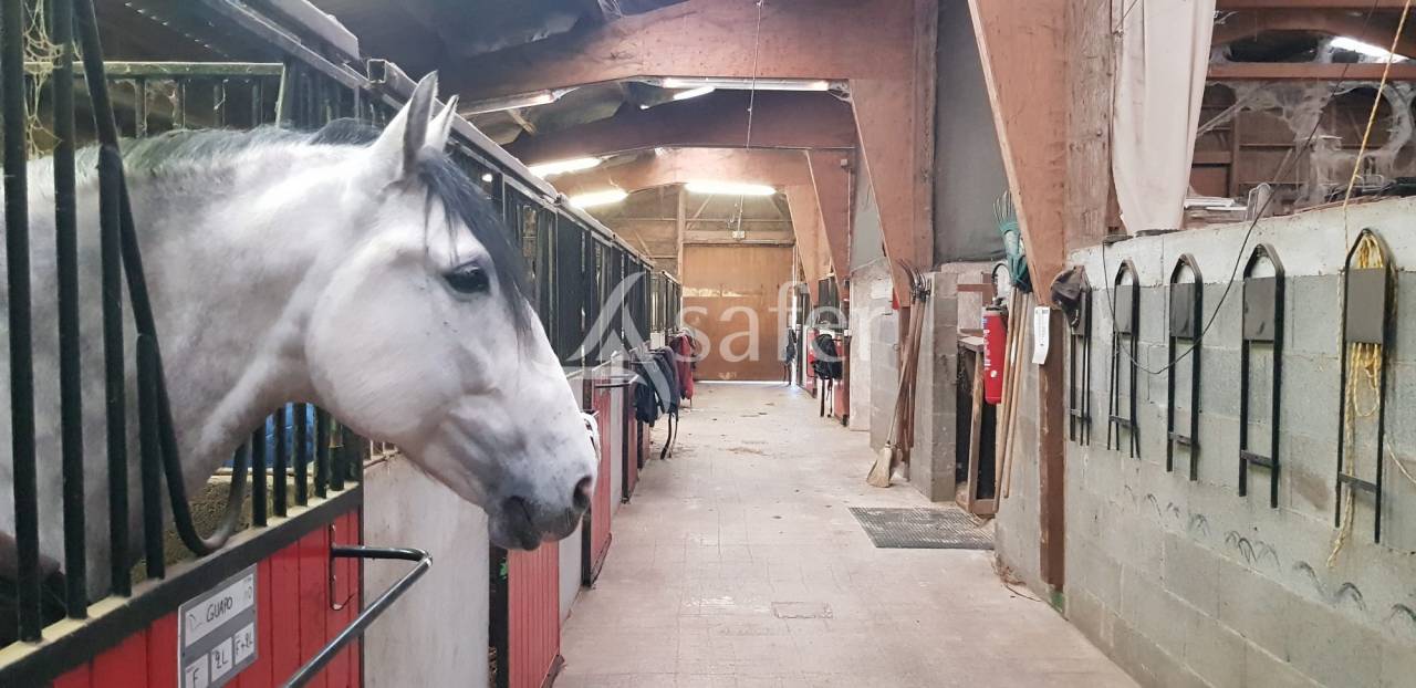 Propiedad ecuestre En venta Alto Loira