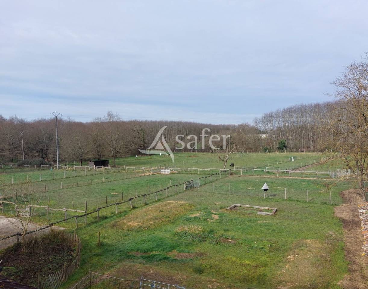 Explotación ovina En venta Dordoña