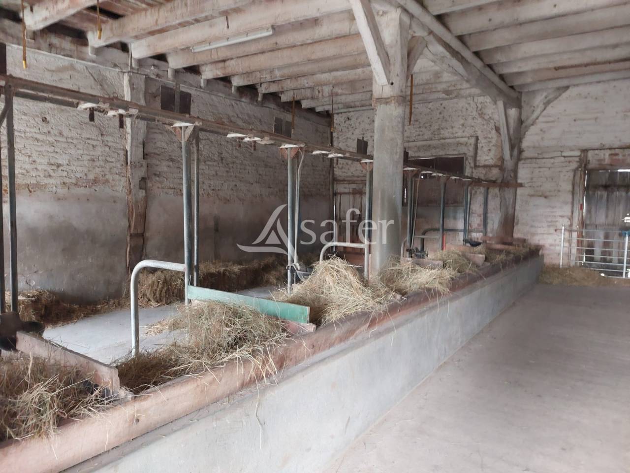 Explotación ovina En venta Dordoña