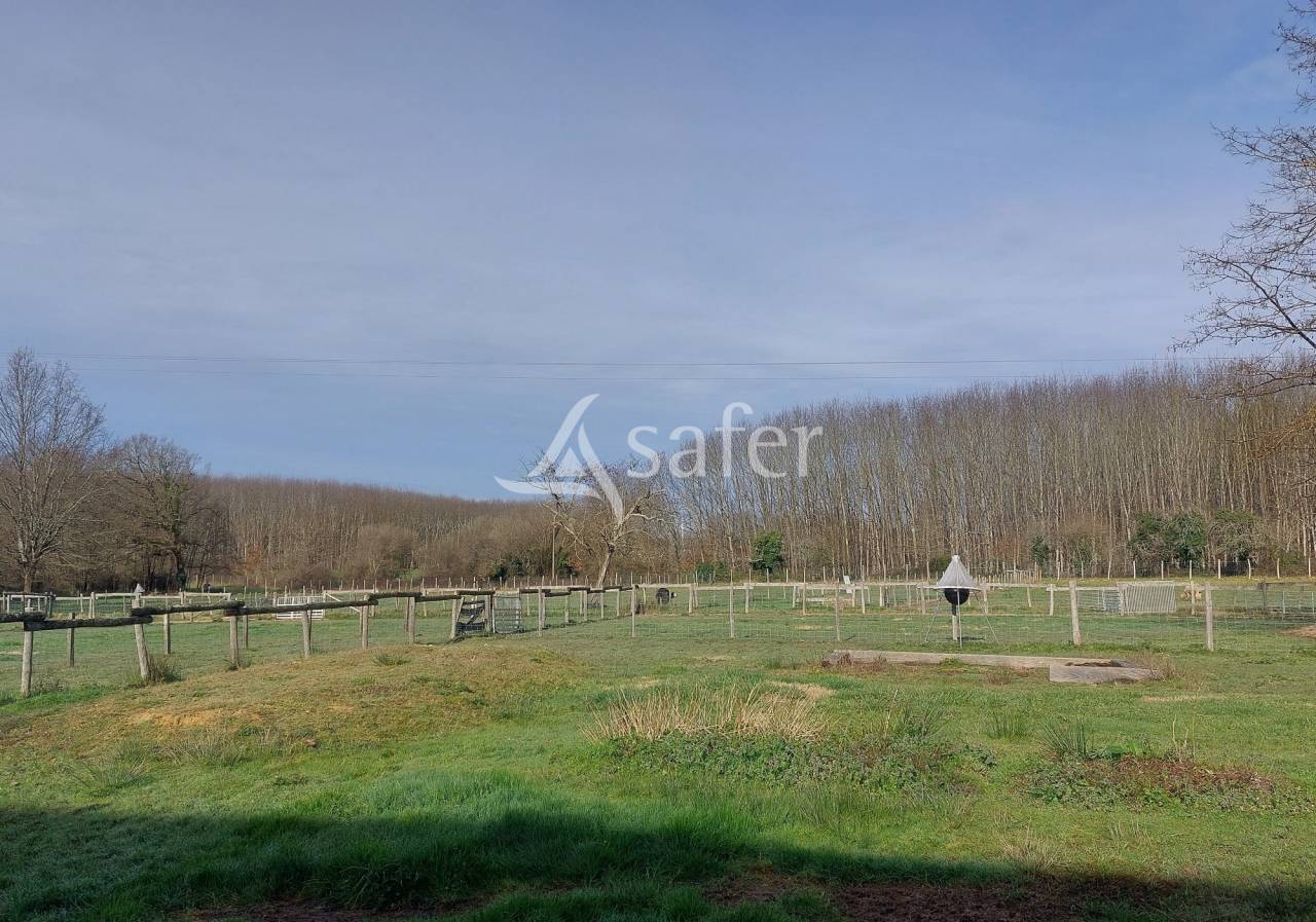 Explotación ovina En venta Dordoña