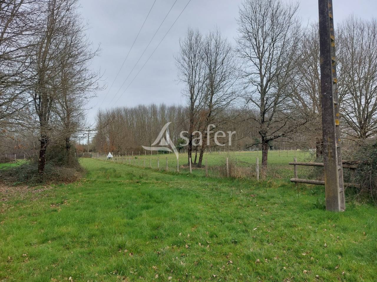 Explotación ovina En venta Dordoña